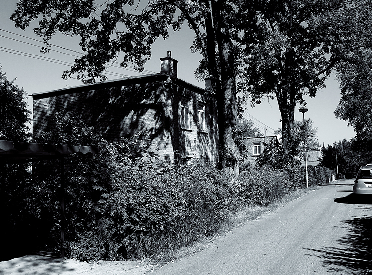 1930 - Letná, Lipová ulice